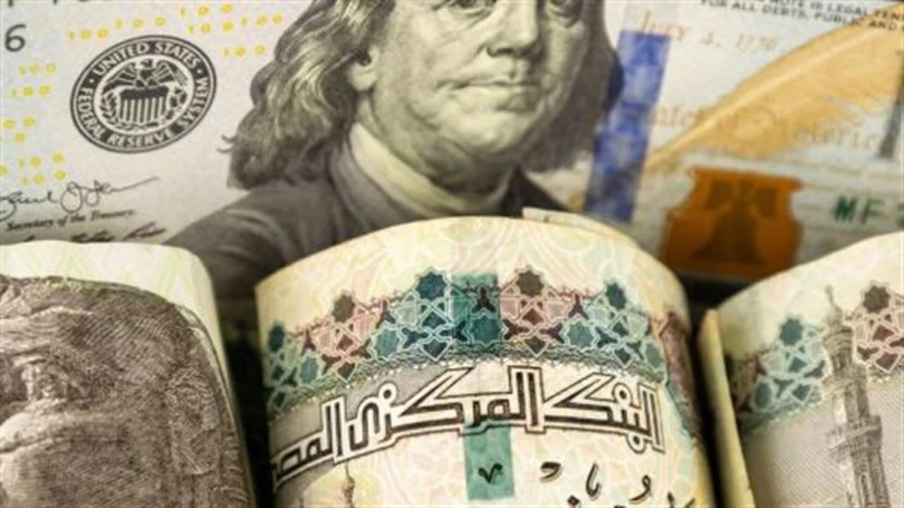 استقرار سعر الدولار في تعاملات البنوك الرئيسية بمصر اليوم
